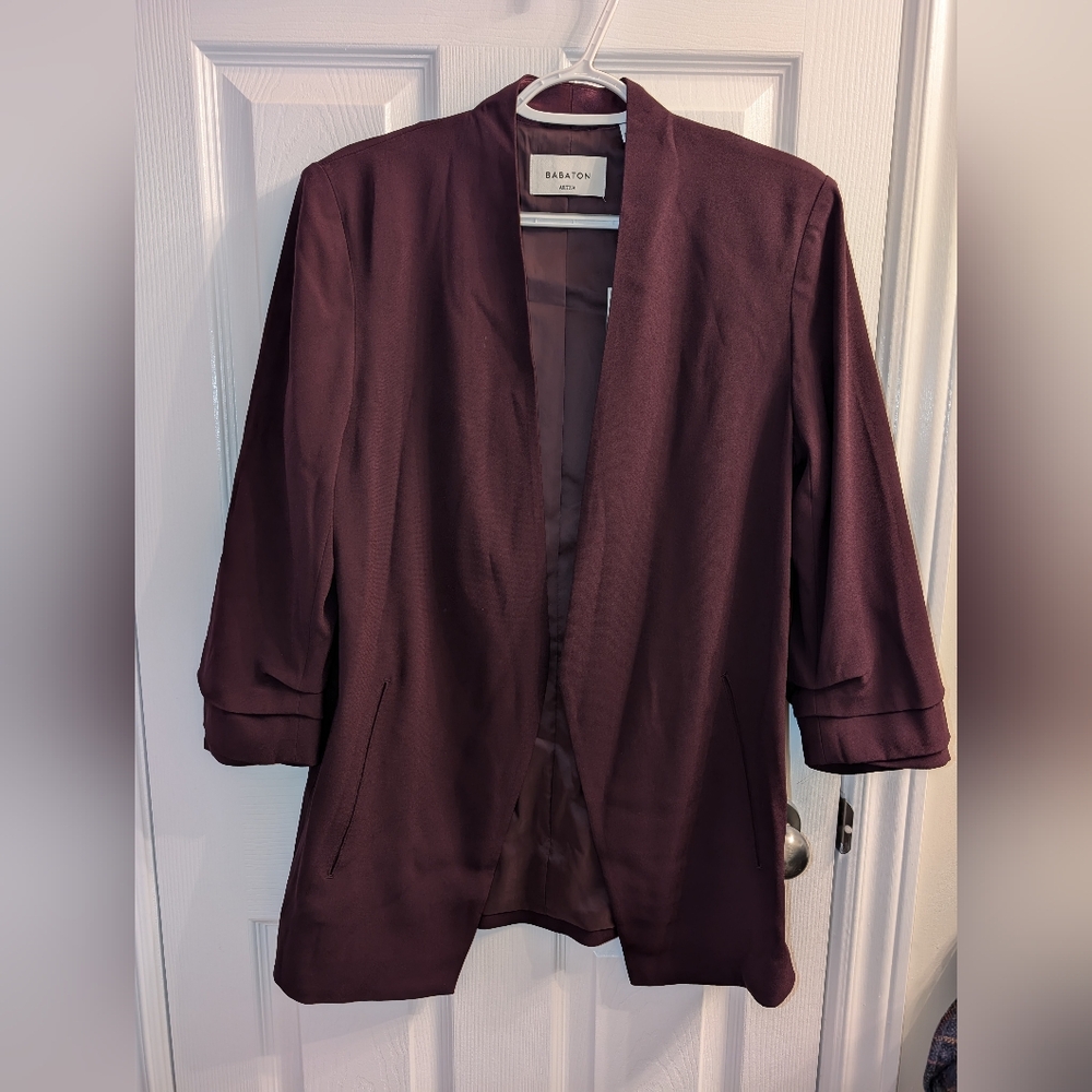 Aritzia Power Blazer